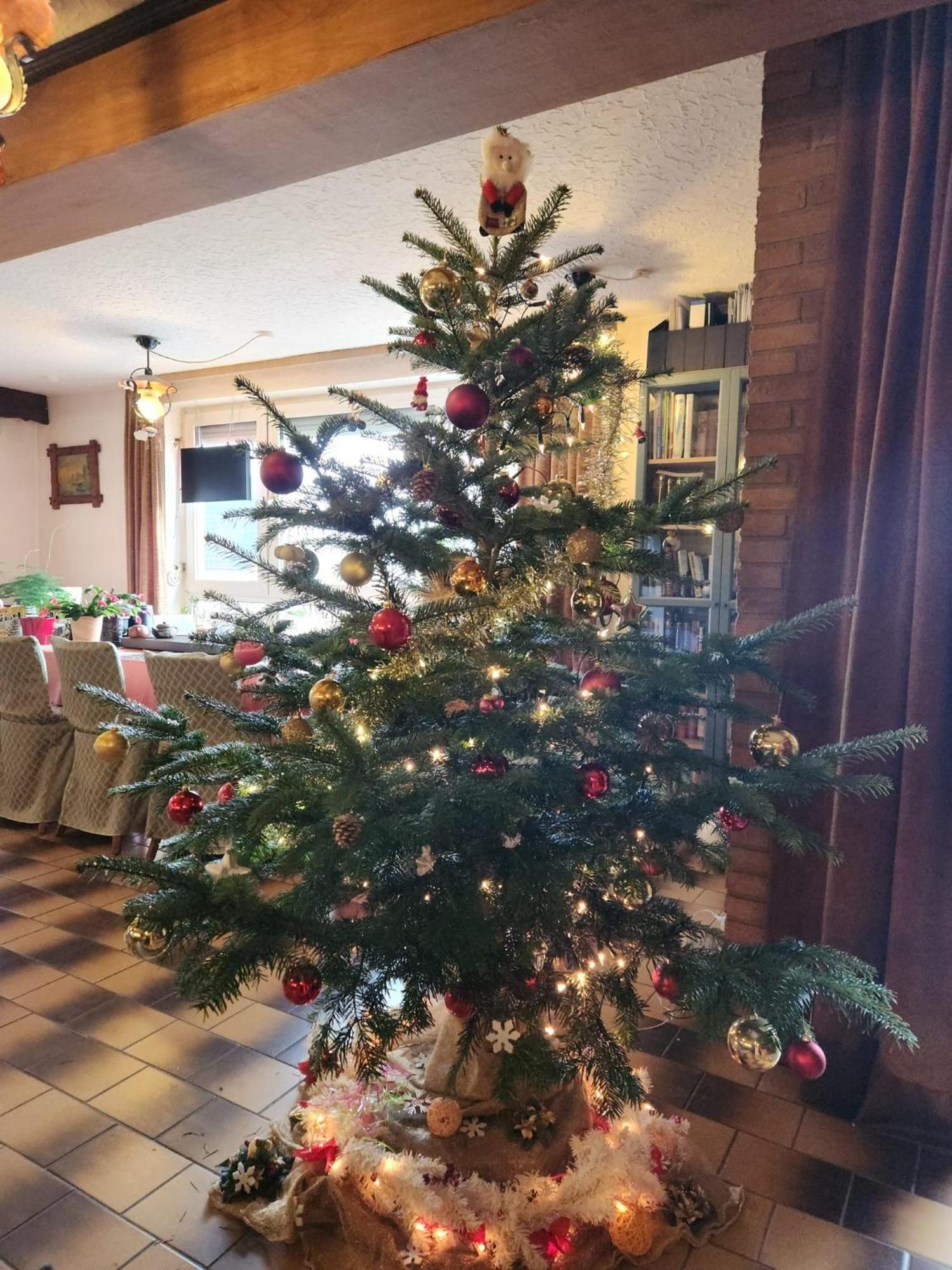 Gasthaus Hochwald Hattgenstein المظهر الخارجي الصورة