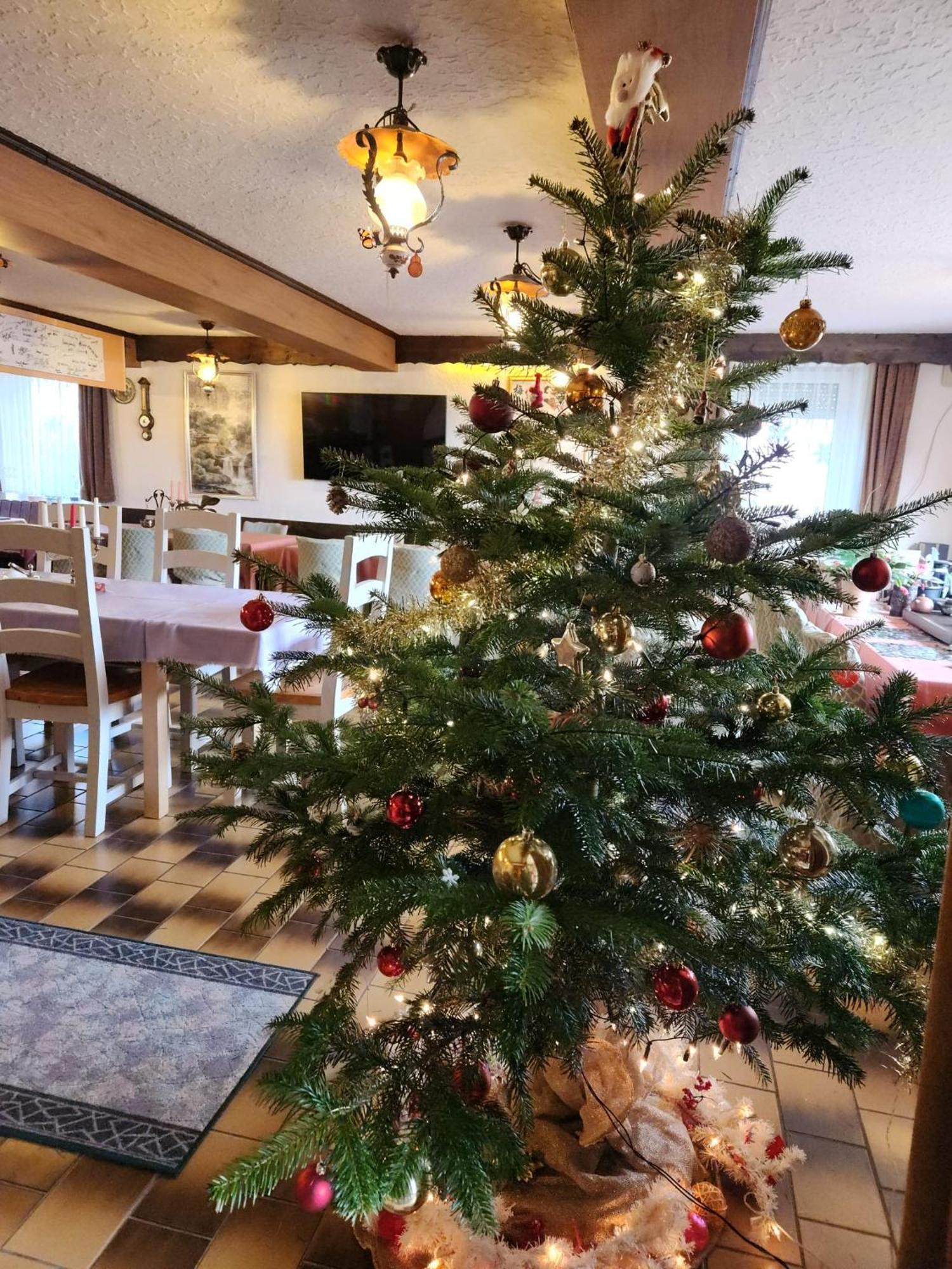 Gasthaus Hochwald Hattgenstein المظهر الخارجي الصورة